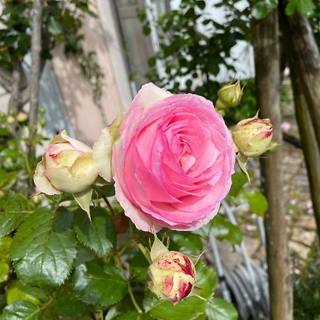 Belle Fontaine Hotel Bourges Luaran gambar